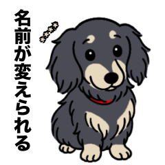 [LINEスタンプ] 名前入りダックスロングブラッククリーム
