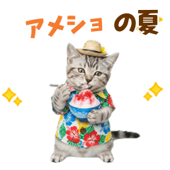 [LINEスタンプ] アメショ子猫の夏でか文字
