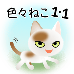 [LINEスタンプ] 色々な猫1-1 短毛-立ち耳-白に茶ぶち