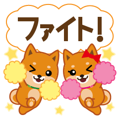 [LINEスタンプ] 柴犬「ムサシ」62 応援＆前向き