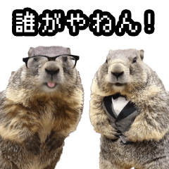 [LINEスタンプ] 漫才師マーモット その2