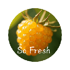 [LINEスタンプ] Berry Life Animated Stickers.ベリー類☆