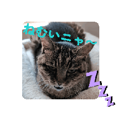 [LINEスタンプ] Ko-Tzy 3 