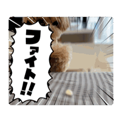 [LINEスタンプ] うにスタンプ【動く】 