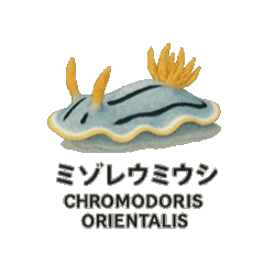 [LINEスタンプ] 動くウミウシ君