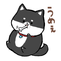 [LINEスタンプ] わんきち！2