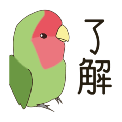 [LINEスタンプ] コザクラインコ(まっちゃ) 
