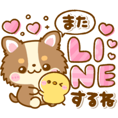 [LINEスタンプ] かわいいチワワ♡カラフルふきだし