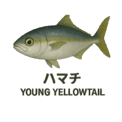 [LINEスタンプ] 動く魚さん達