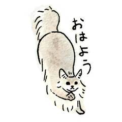 [LINEスタンプ] ソマリブルーのすてちゃん 
