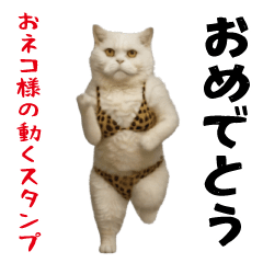 [LINEスタンプ] お猫様の動くスタンプ10