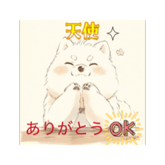 [LINEスタンプ] 柴犬しか使わん‼️ 