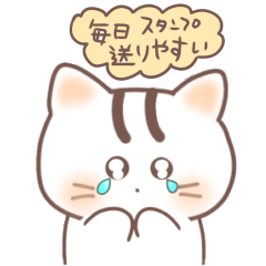 [LINEスタンプ] 毎日送りやすい可愛いネコタム