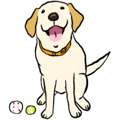 [LINEスタンプ] 日常的なラブラドールレトリーバー